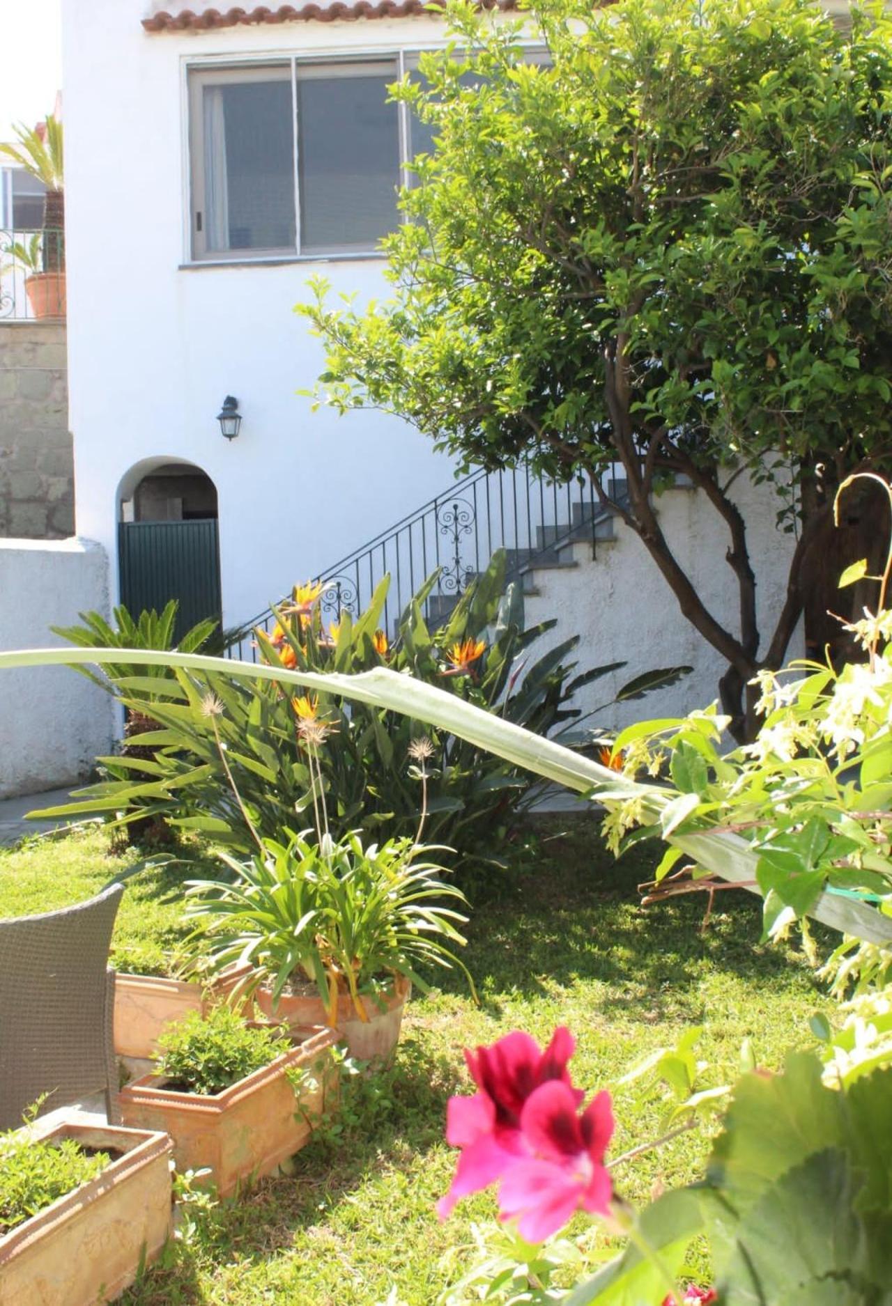 Chez Marie Ischia Villa ภายนอก รูปภาพ